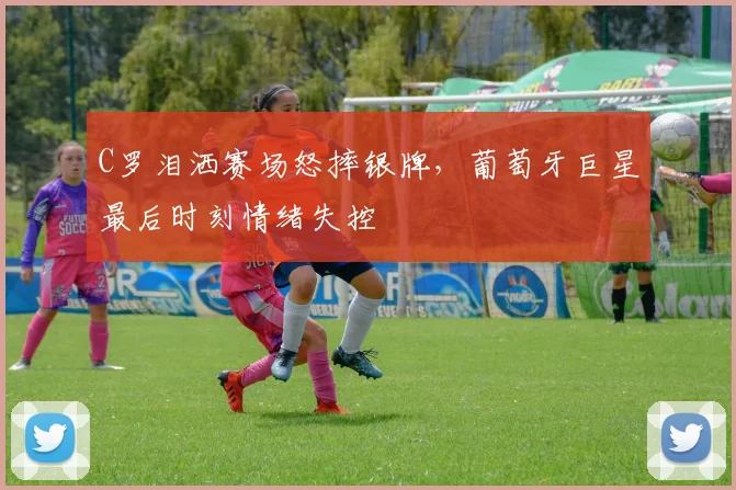 牛八体育直播在线观看